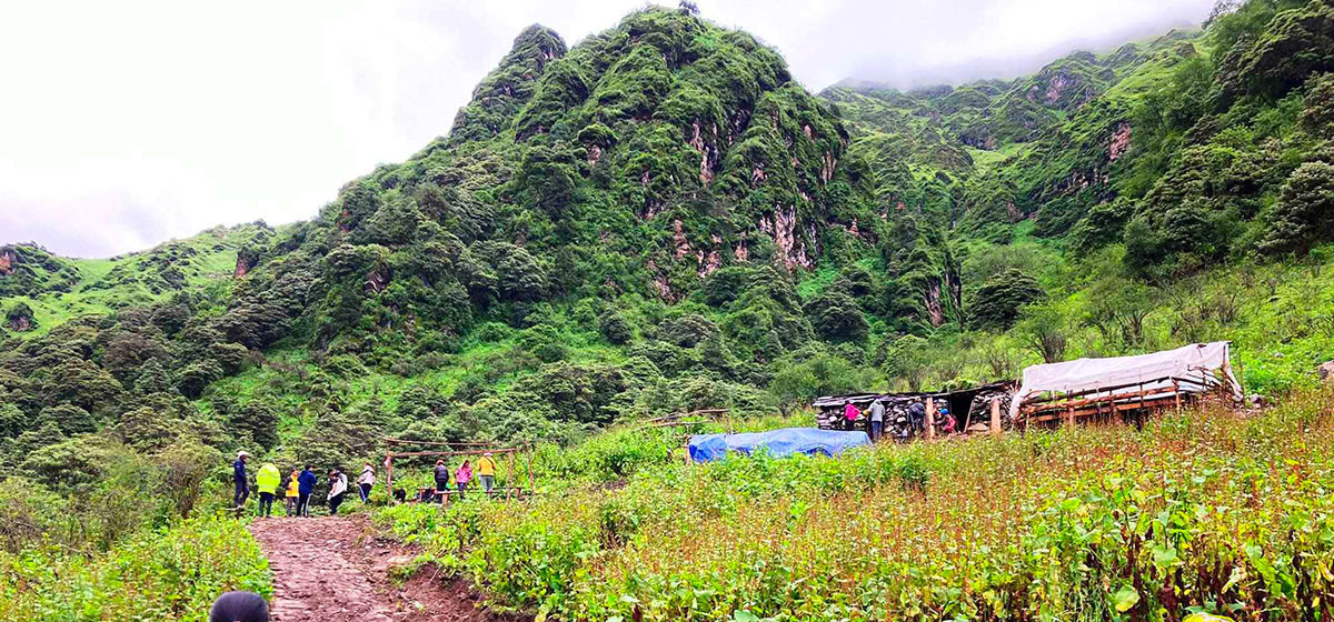 ढोरपाटनका गोठालाको आयआर्जन बढ्यो