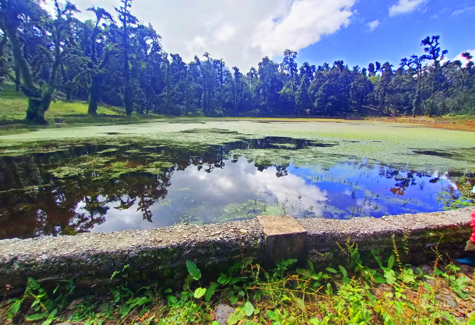 धमाधम सुक्न थाले ताल, संरक्षणमा चुनौती