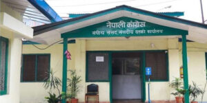 कांग्रेसको संसदीय दलको नेता चुन्दै, को बन्ला?